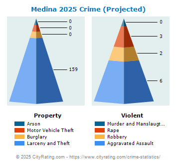 Medina Township Crime 2025