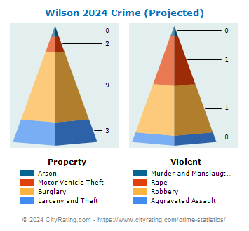 Wilson Crime 2024