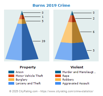 Burns Crime 2019