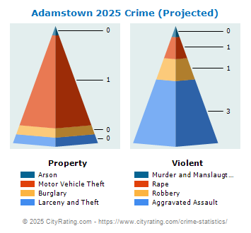 Adamstown Crime 2025