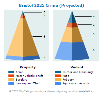 Bristol Crime 2025