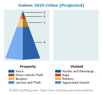 Gaines Township Crime 2025