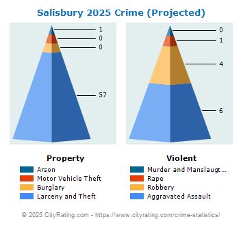 Salisbury Township Crime 2025