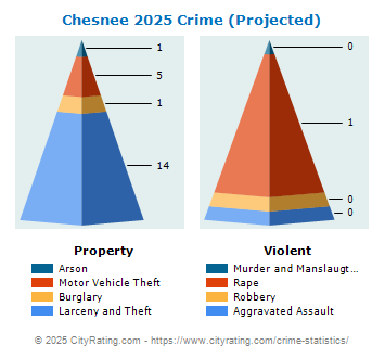 Chesnee Crime 2025