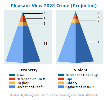 Pleasant View Crime 2025