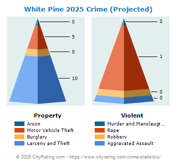 White Pine Crime 2025