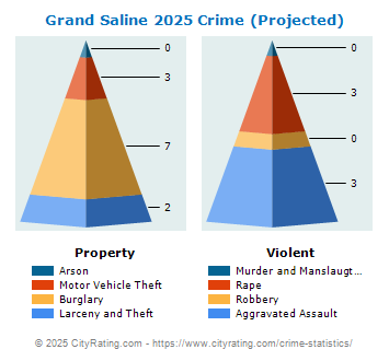 Grand Saline Crime 2025