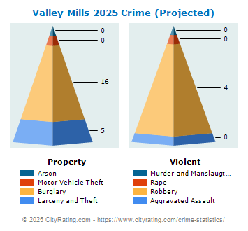 Valley Mills Crime 2025