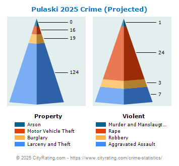 Pulaski Crime 2025