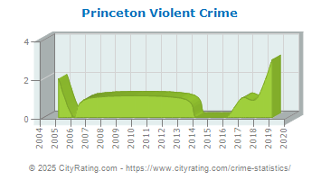 Princeton Violent Crime